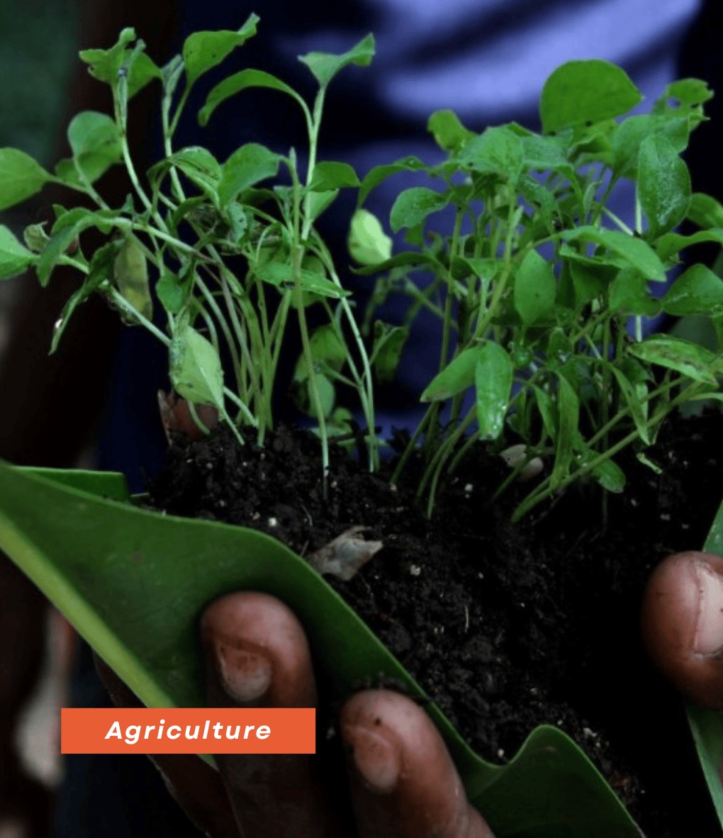 Argriculture