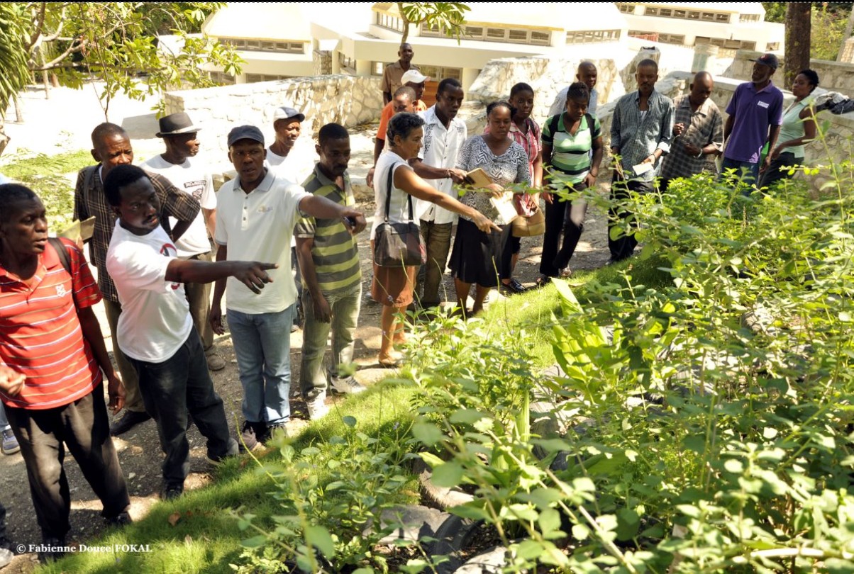  jardin medicinal avec Marilise Rouzier