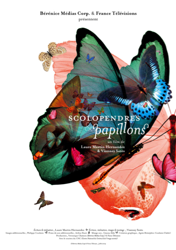 scolopendres papillons