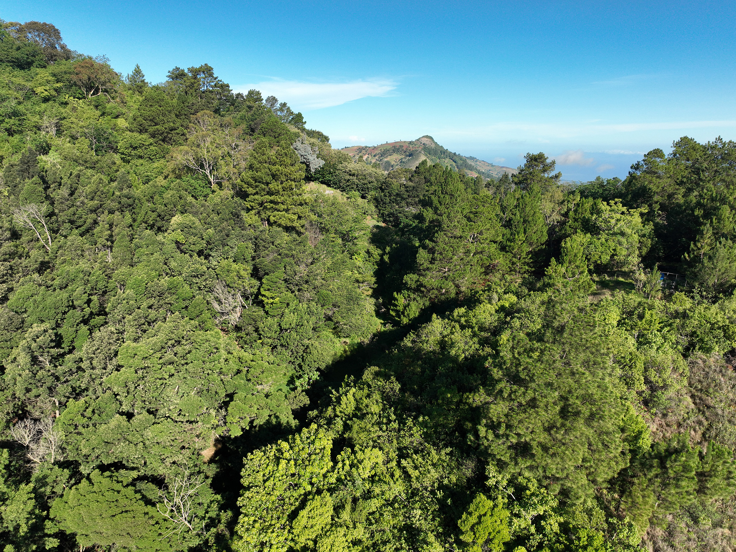 20230630 D visuals Mavic3C REWF 0017